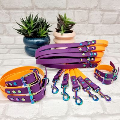 Paquete de 10 collares y correas impermeables para perros BioThane© de dos colores - Peach & Warm Purple