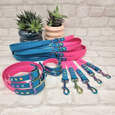 Paquete de 10 collares y correas impermeables para perros BioThane© bicolor - Electric Pink & Lagune