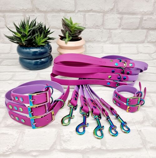 Waterproof BioThane© two-coloured 10 pcs Dog Collar & Lead Bundle - Amethyst & Pink Berry