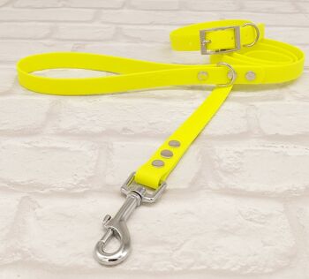 Ensemble Collier et Laisse pour Chien BioThane© Imperméable - Jaune Fluo & Argent 1