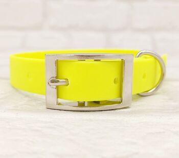 Ensemble Collier et Laisse pour Chien BioThane© Imperméable - Jaune Fluo & Argent 2