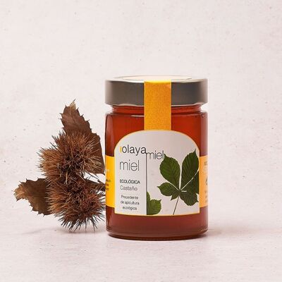 Organic chestnut honey 450gr