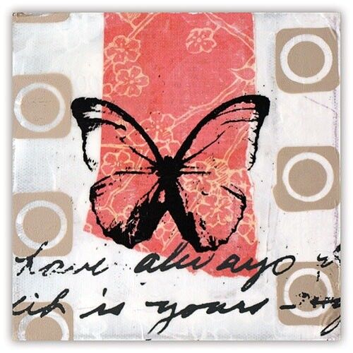 Papillion (SKU: X-AF14)