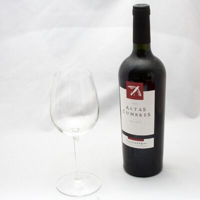 Argentinian wine Red Malbec Altas Cumbres