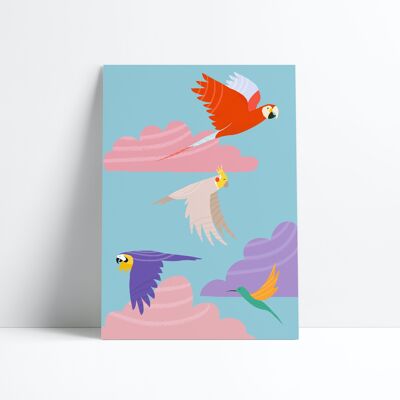 CARTEL 30X40- Vuelo de loros