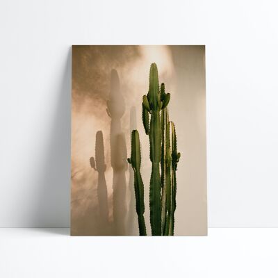 AFFICHE 30X40-Cactus Shadow