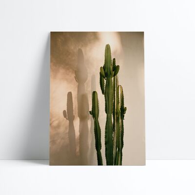 POSTER 30X40-Cactus Shadow