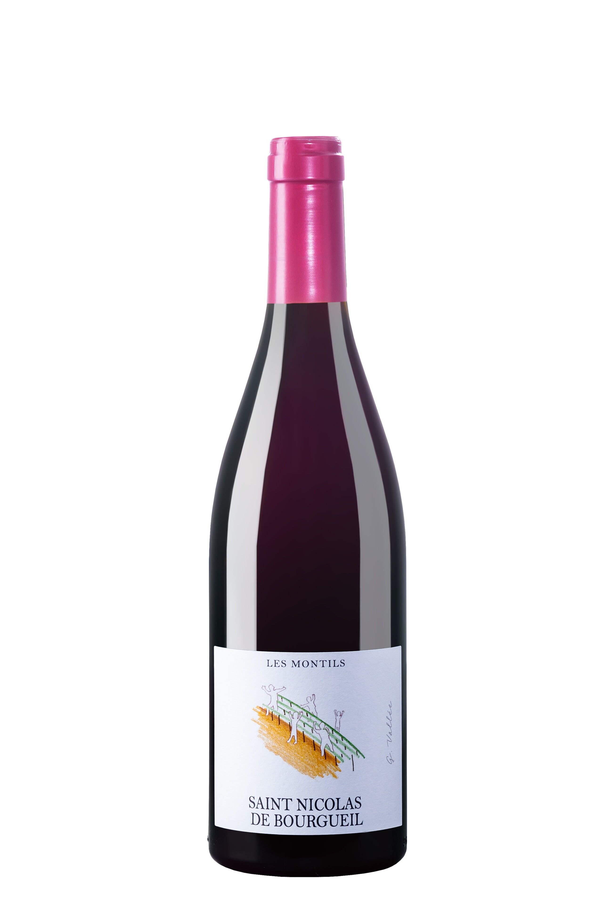 Les Montils - Rosso - 75cl - Domaine de la Cotelleraie - Saint-Nicolas-de-Bourgueil