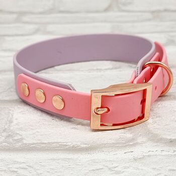 Ensemble Collier et Laisse pour Chien Bicolore BioThane© Imperméable - Lilas & Rose Bébé 4