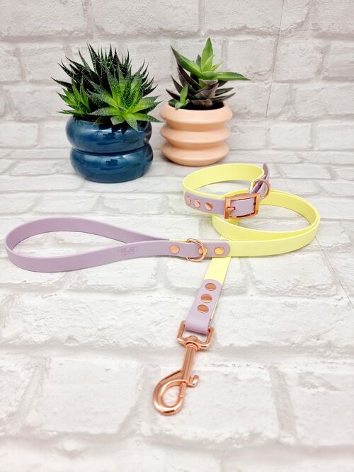 Waterproof BioThane© Two-Coloured Dog Collar & Dog Lead Set - Sherbet Lemon & Lilac