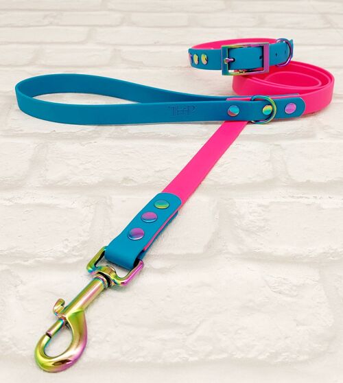Waterproof BioThane© Two-Coloured Dog Collar & Dog Lead Set - Electric Pink & Lagune