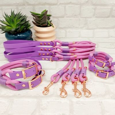 Ensemble Collier et Laisse pour Chien Paracord & Waterproof BioThane© - Rose Pastel & Améthyste