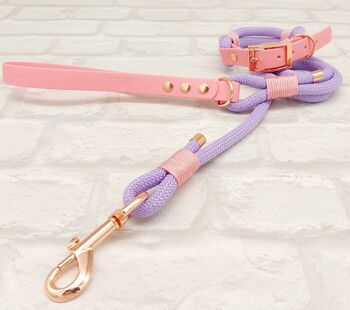 Ensemble collier et laisse pour chien Paracord & Waterproof BioThane© - Lilas & Baby Pink 2