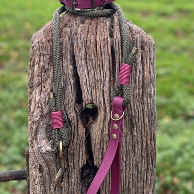 Collar y correa para perro BioThane© de cuerda clásica - Verde militar y burdeos