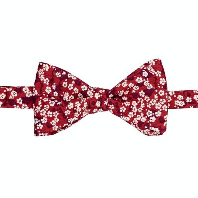 Liberty mitsi valeria red bow tie