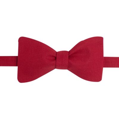 Plain wine bow tie