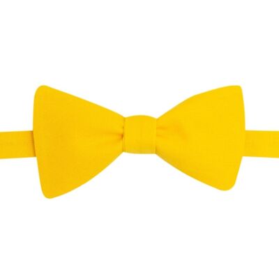 Plain sun bow tie