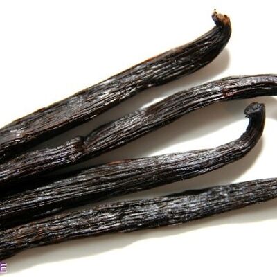 Tube of 6 Bourbon Vanilla pods 24 grams