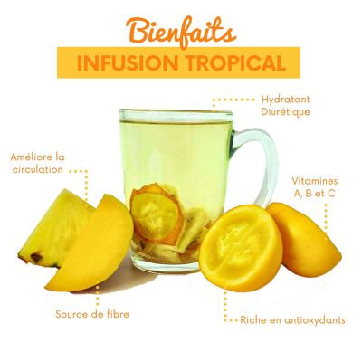 Infusions of Deshidrated Tropical Fruits 20 in boxes of 240gr