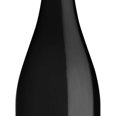 Vini analcolici - Chavin Zero Syrah 0%