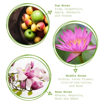 Diffuseur à roseaux parfumé à la fleur de lys et de lotus de 100 ml - Par Peppermint Grove 3