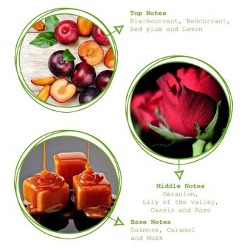 Diffuseur à roseau parfumé à la prune rouge et à la rose de 100 ml - Par Peppermint Grove 3