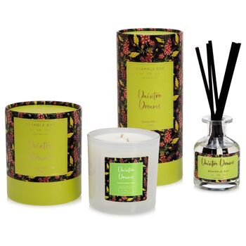 Diffuseur de roseaux parfumés botaniques Daintree Dreams de 150 ml - Par Bramble Bay 7