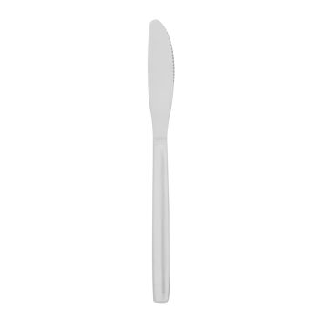 Couteau de table en acier inoxydable Argon Tableware 1