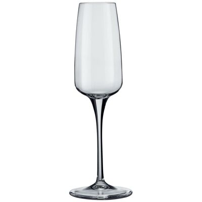 Bormioli Rocco Aurum Champagner-Trinkflöte aus Glas - 230 ml