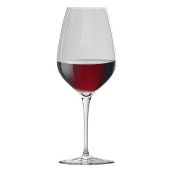 Bormioli Rocco Inalto Tre Sensi Grand verre à vin - 550 ml 6