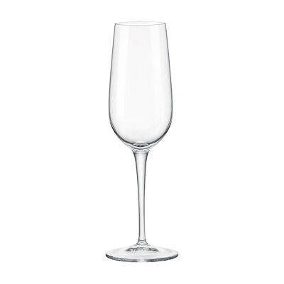 Copa de champán Bormioli Rocco Spazio - 190ml