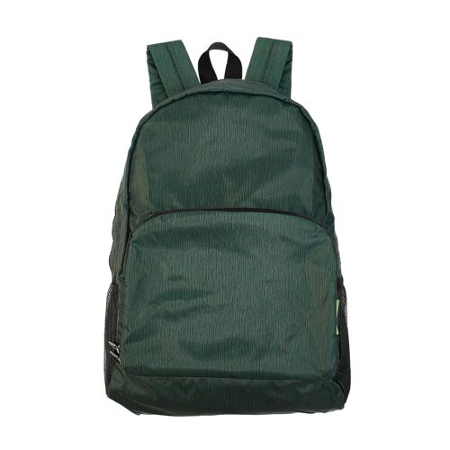 Eco Chic Lightweight Foldable Backpack Pine Green