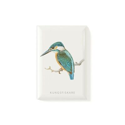Kingfisher magnet