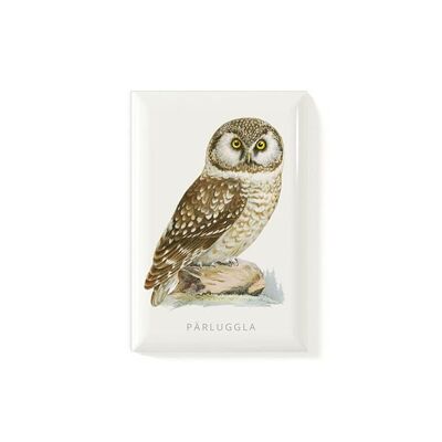 Fridge magnet Pearl owl