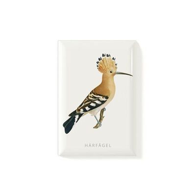 Imán Herebird
