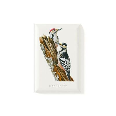 Magnet Woodpecker
