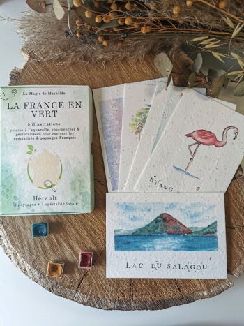 HERAULT - Coffret "La France en Vert" - 5 Illustrations pour découvrir un département 3