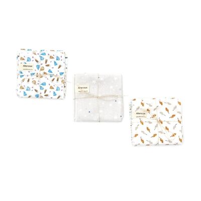 Small handkerchiefs (set of 4)
