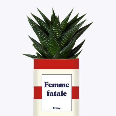 Plante grasse - Femme fatale