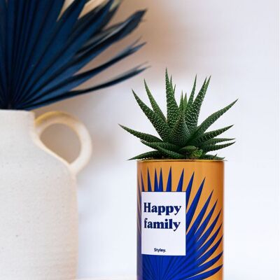 Succulent Plant - Happy Family