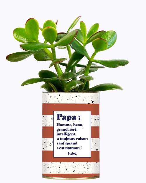 Plante Grasse - Papa définition