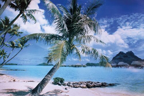 Insel Bora Bora Poster Strand