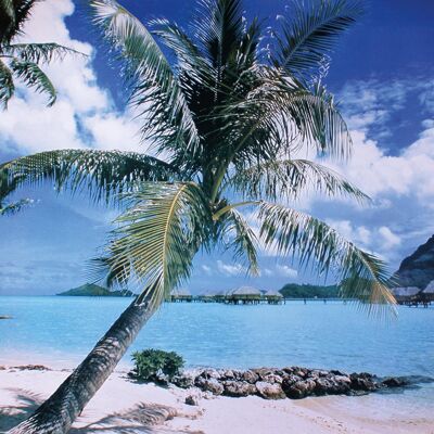 Insel Bora Bora Poster Strand