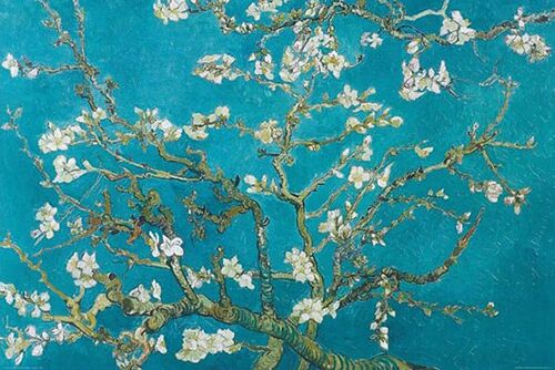 Vincent Van Gogh Poster Mandelblüten 1890