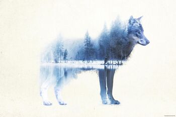Loup des Forêts Affiche Madeleine 2