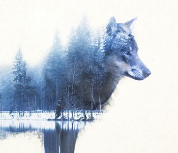 Loup des Forêts Affiche Madeleine 4