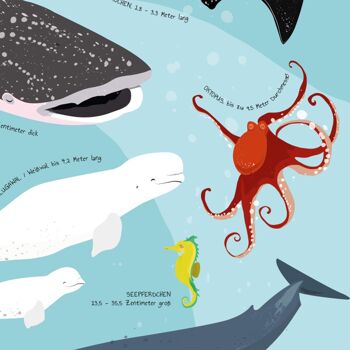 Affiche de créatures marines Il se passe quelque chose sous l'eau ! 7