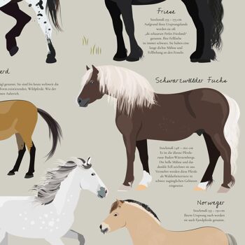 Chevaux de cette Terre Poster Les races de chevaux les plus célèbres 8