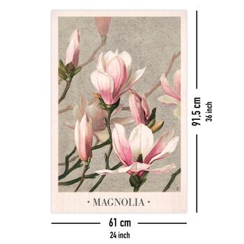 Affiche Magnolia L Prang & Cie 1886 5