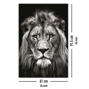 Affiche Lion Noir & Blanc Christian Triton 5